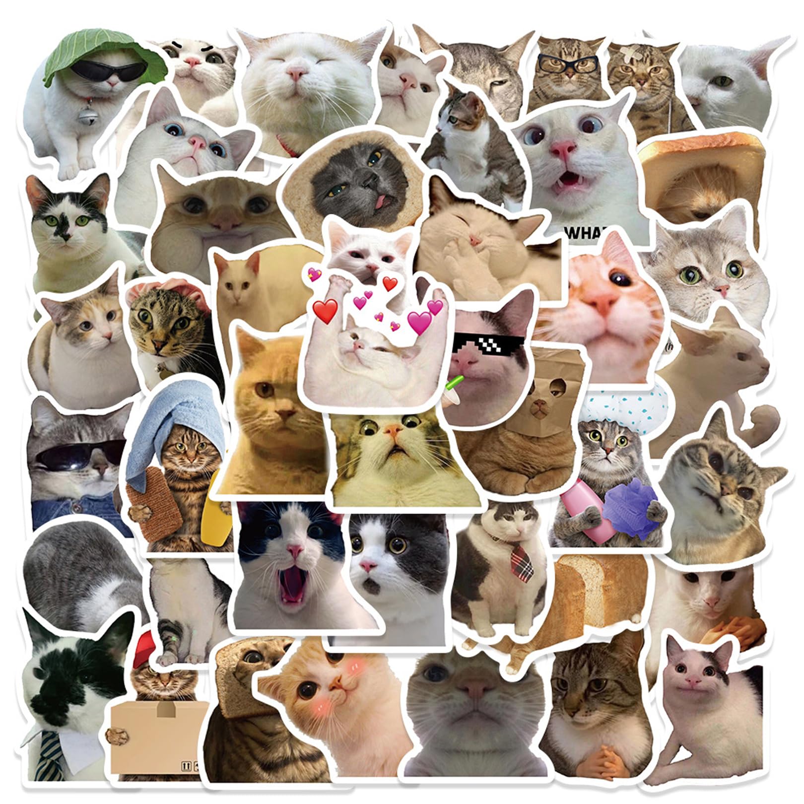 50 Stück Katzen Sticker, Cat Meme Sticker, Cute Sticker Cat Wasserfeste Aufkleber Stickers Funny Stickers Meme Aufkleber Set Vinyl Stickers für Wasserflasche, Gitarre, Koffer, Skate, Notebook von Jasminum