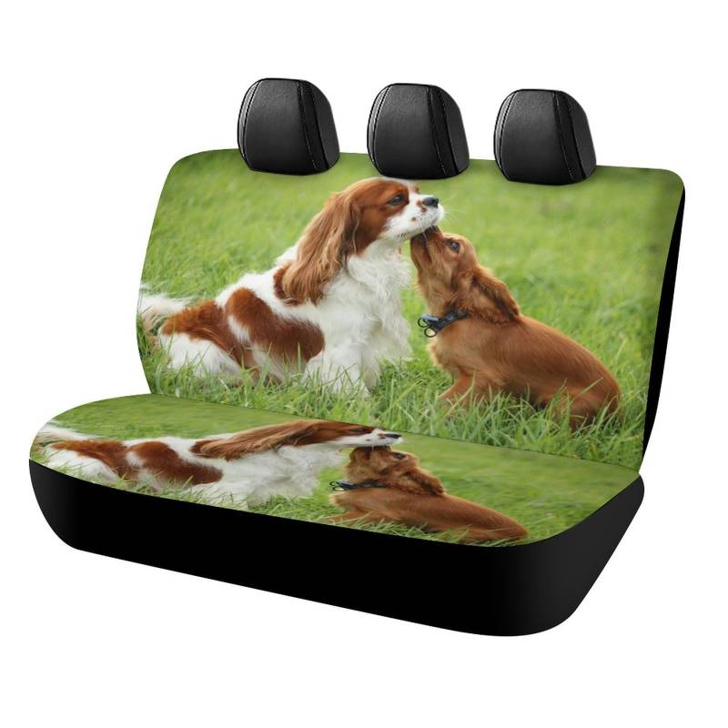 JiuPopular Auto-Rücksitzbezug, Cavalier King Charles Spaniel, Autositzbezug, Universal-Sitzbezüge-Set für die meisten Autos, LKWs, SUVs von JiuPopular