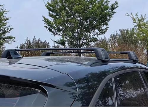 2 Stück Auto Querträger Dachträger für Ford Escape 2020-2024 2025, Eloxiertem Aluminium Fahrradträger Dachboxen Offener Dachreling Dachgepäckablage von KAEW