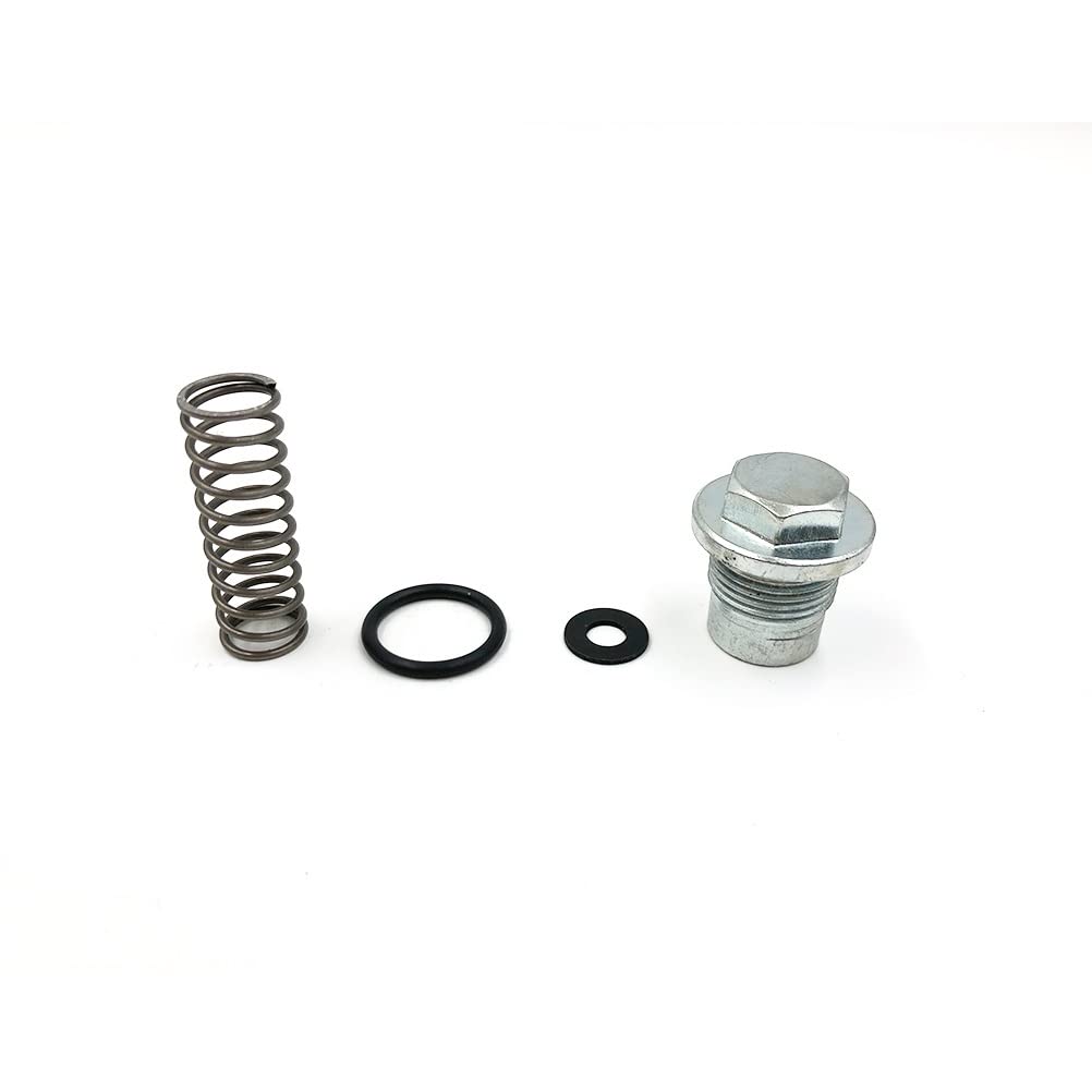 Motorrad-Zylinder-Kit, Kolbenringbolzen, Dichtkissen, Motorteile for KLX250 93-18 KLX300 96-07, Offroad-Motocross(Cylinder Tensioner) von KAIWON