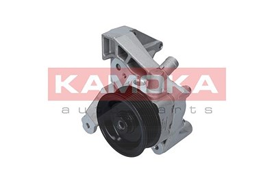 Kamoka Hydraulikpumpe, Lenkung [Hersteller-Nr. PP121] für Iveco von KAMOKA