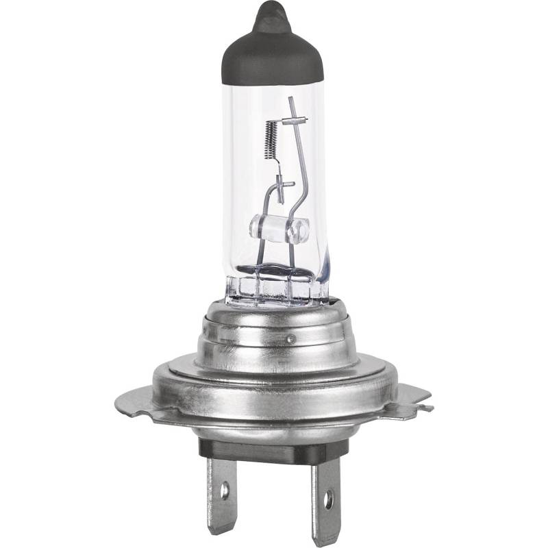 Formula 1 H7 Halogen-Scheinwerferlampen Auto Lampen Halogen Glühlampen CL 700, 12V, 55W, PX26d Sockel, 1 Stück von Formula 1