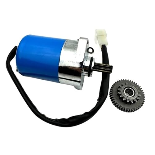 Kompletter Motor für JOG RSZ 100 Motorrad-Anlasser, Upgrade-Teile, kompatibel mit ähnlichen Modellen(Blue) von KFJHTWG