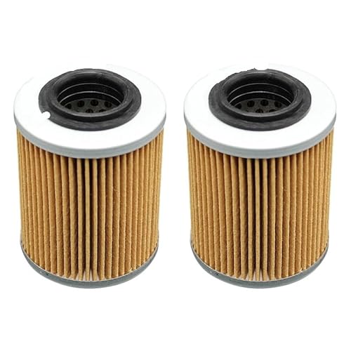 Motorrad-Ölfilter, kompatibel mit 1000 R 998 RSV 998 ETV1000 998 SL1000 998 RST1000, erhältlich in 1, 2, 4 oder 6 Stück(2 PCS) von KFJHTWG