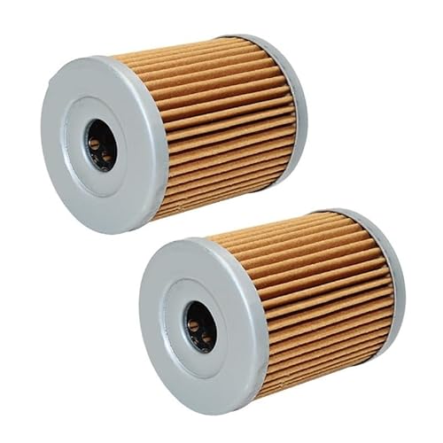 Professioneller Ölfilter aus Papier, kompatibel mit LT160 LTZ250 Rv125VAN DRZ125 RV200 DRZ125L DR200SE AN400 LTF160 LTF300KING und ähnlichen Modellen(2 PCS) von KFJHTWG