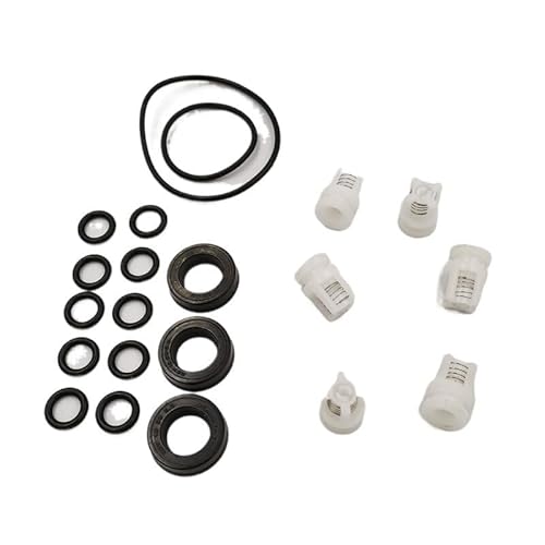 Austauschbare Drohnenteile für DJI T30 Landwirtschaftsdrohne Zubehör für Agras für DJI T30 Wasserpumpen-Reparatur-Set (1 Set) von KHDRTC