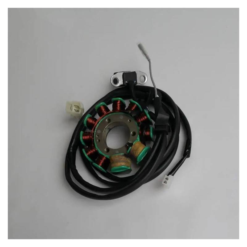 Zündspule 11-Spulen-Magneto-Stator 253FMM Rebel CA250 Für CMX250 Für Barracuda Für Tank Für Vision Für Baja Für Phoenix Für Regal Für Raptor DD250 Für FYM FY250 Zündung von KIRYU