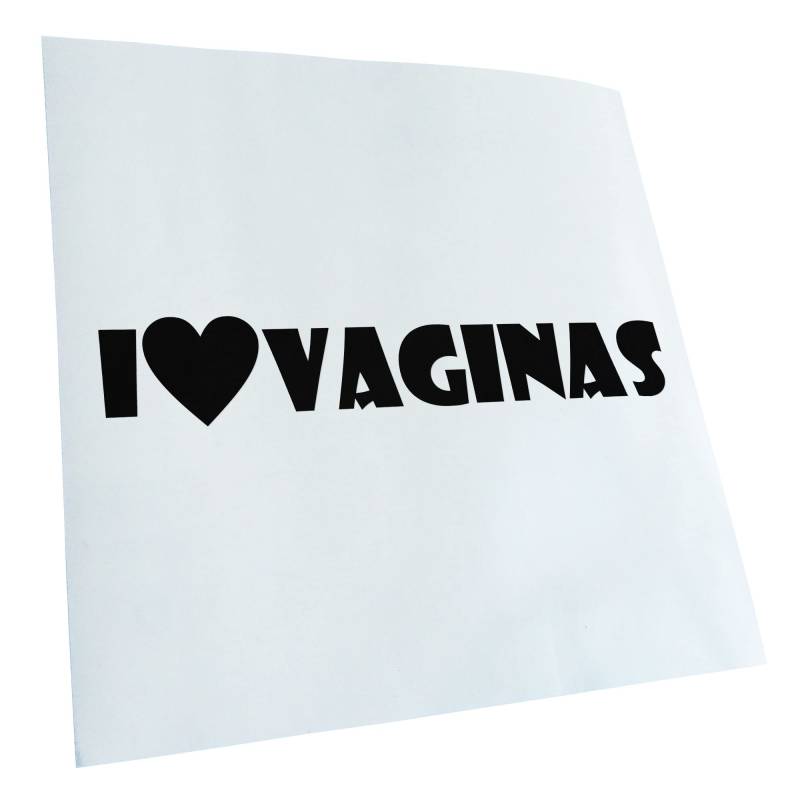 Kiwistar - Autoaufkleber - Schwarz - 20x4cm I Love Vaginas Aufkleber für Auto, Laptop, Fahrrad, LKW, Motorrad Mehrfarbig JDM Decal Racing von KIWISTAR UG