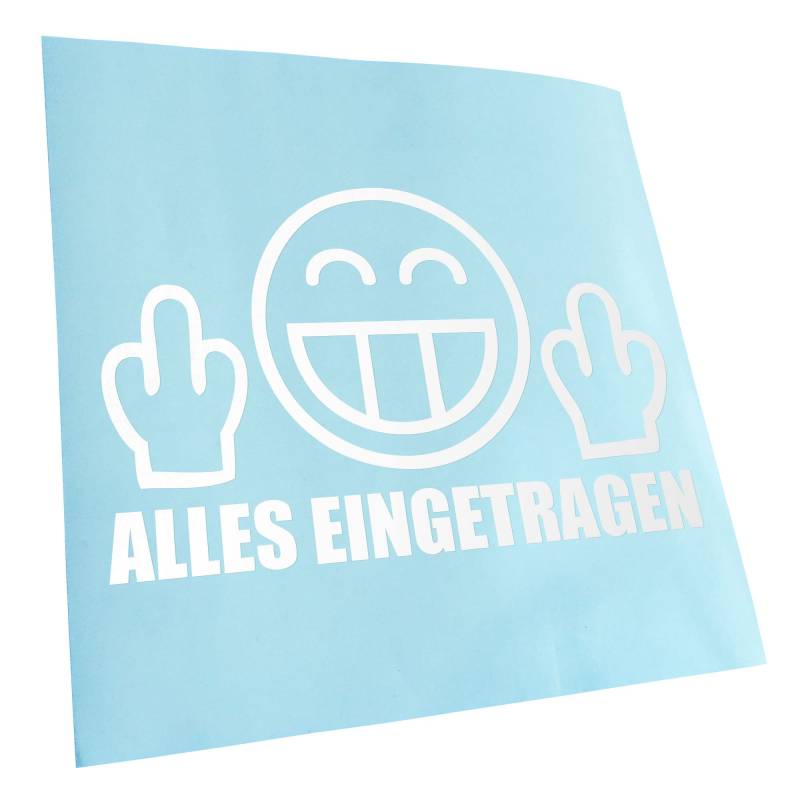 Kiwistar - Autoaufkleber - Weiß - 17x10cm Alles eingetragen Aufkleber für Auto, Laptop, Fahrrad, LKW, Motorrad Mehrfarbig JDM Decal Racing von KIWISTAR UG