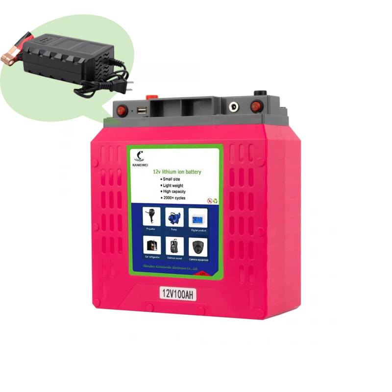 KMWThunder LiFePO4 Pink Lithium-Batterie 12.8 V 100 Ah 1280 Wh mit BMS-Tieftemperaturschutz und 4500+ Zyklen Lithium-Eisenphosphat-Batterie für Wohnwagen, Solar, Camping von KMWThunder