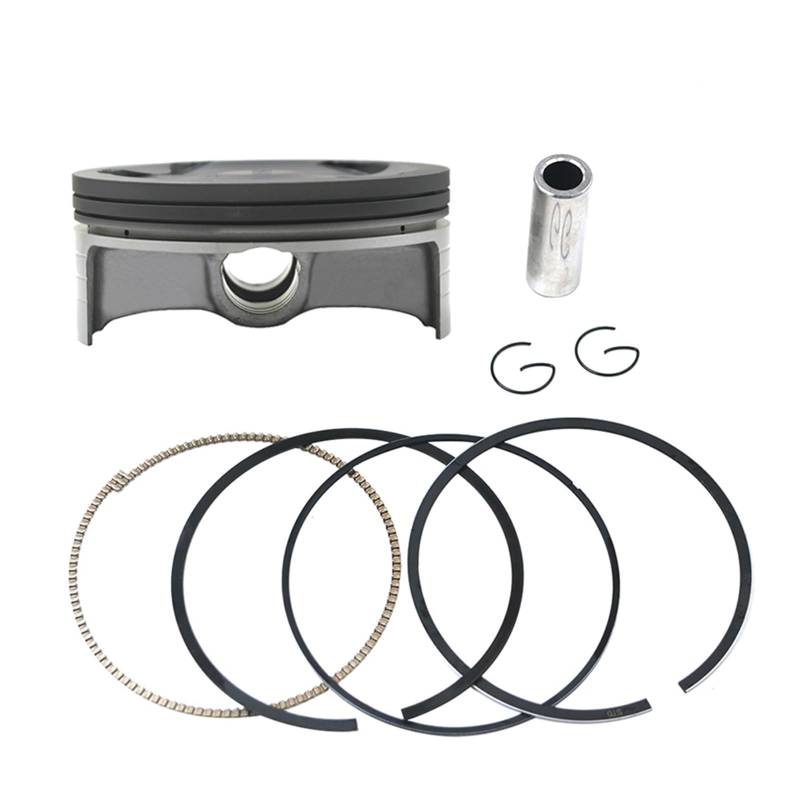 Motorsauger & Ring-Set STD 95mm kompatibel mit YAMAHA WR450F WR 450 F WR-450F YZ450F YZ 450 F WR450F WR450FW WR 450 F 2S2-11631-10 von KNAVOPLEX