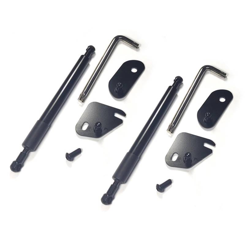 Gasfeder Heckklappe Dämpfer Für Ford Für F150 2015-2019 Lkw Langsam Absenken Lift Unterstützung Schock Streben Hydrauli Stange Heckklappendämpfer (Size : Left Right 2Pcs) von KROREN