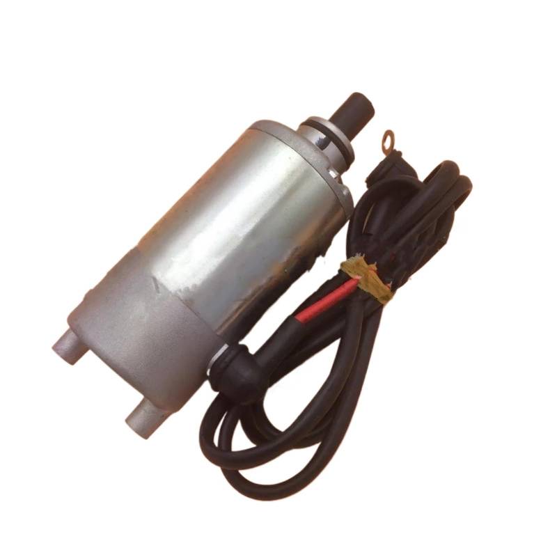 Anlasser Starter Motor Anlasser Anlasser Für Jianshe 250 250cc JS250 Für Mountain Für Lion Für Baja ATV Für Quad Für Puma Für Wildcat Teile FG-850000-0 von KUVIEZ