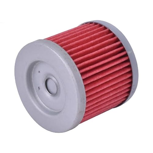 1/5/10 stücke Motorrad Öl Filter for GT250R GT250 GV250 GV125C AQUILA 250 XRX125 GT125 COMET 125 ÜBERSCHREITEN GT 250R GV125 R-C(1pcs Red) von KZYQDARS