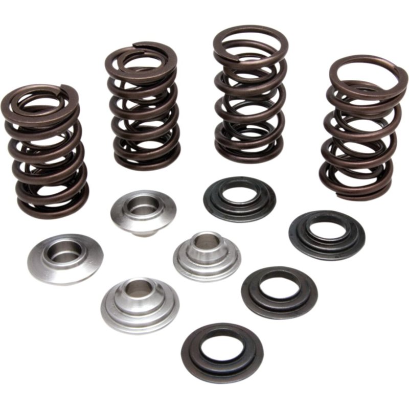 KIT-VALVE-SPRING-LTR-450 von Kibblewhite