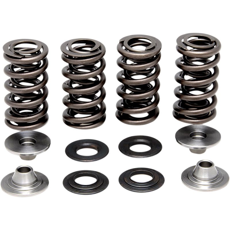 SPRING-KIT-RM-Z250-04-06 von Kibblewhite