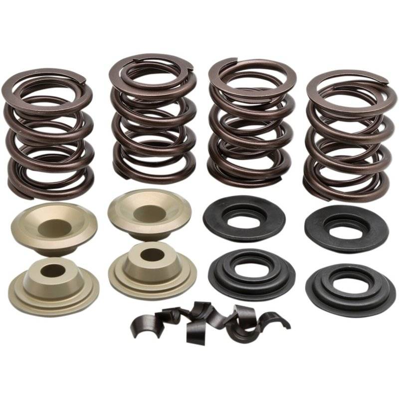 VALVE SPRING KIT 66-E84BT von Kibblewhite