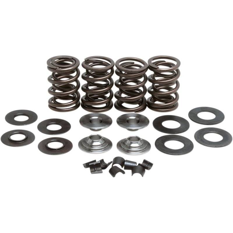 VALVE SPRING KIT GS500E von Kibblewhite