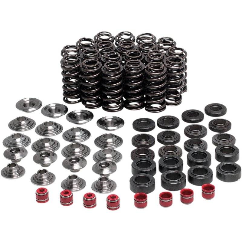 VALVE SPRING KIT YZFR1 von Kibblewhite