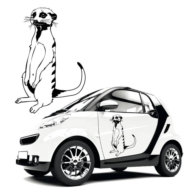 Erdmännchen Auto Aufleber Tattoo Car Design Dekoration Manguste Fahrzeug Tiermotive |KB413V2 von Klebe-X