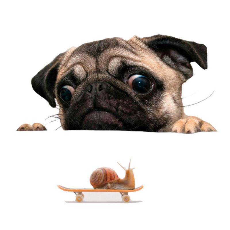 Kufughty Lustige Nette Haustier Pug Hunde Schnecke 3D Auto Fenster Applikations Haupt Wand Aufkleber Dekoration von Kufughty