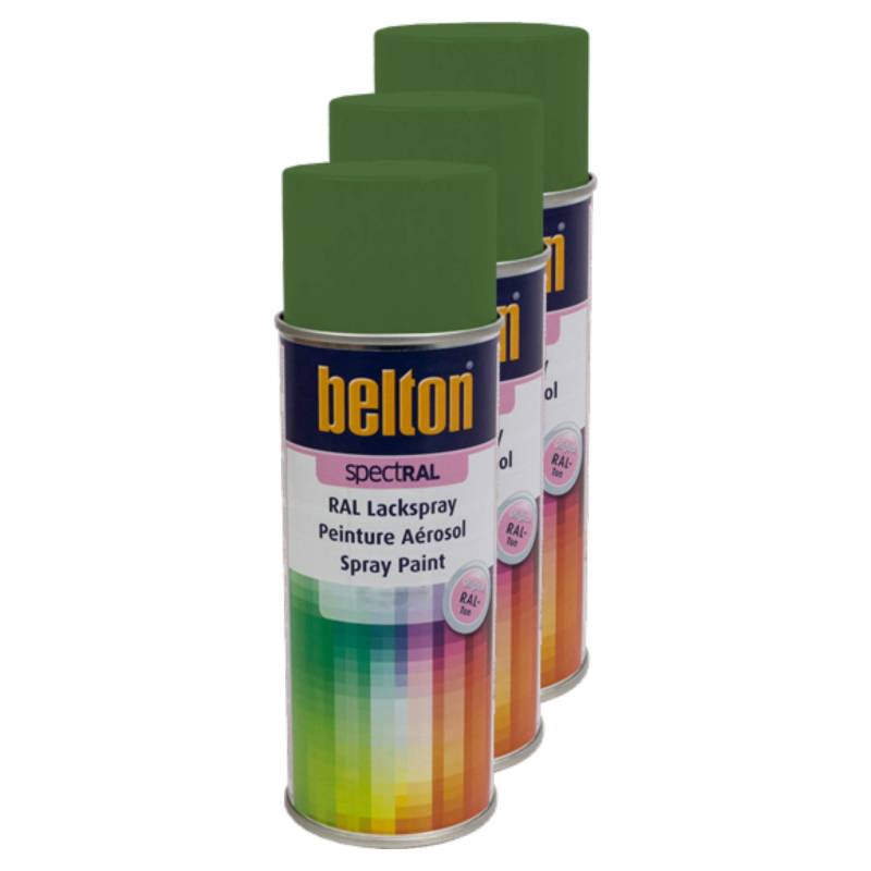 Kwasny 3X Belton Spectral RAL Lackspray Lack Spray Spraylack Grasgrün Hochglanz RAL 6010 400 Ml von Kwasny