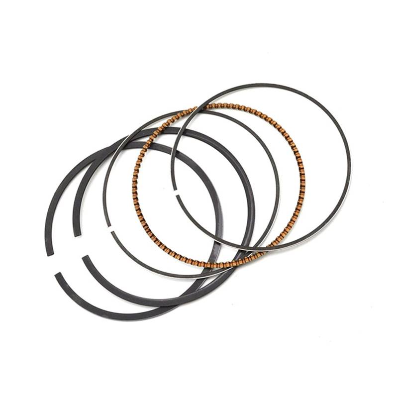 LABOIUF Motorradgröße Std ~ +100. Kolbenring-Kit passen for Yamaha TTR250 4GY 1999-2006 TTR 250 Kolben und Ringe(Rings 73.5mm) von LABOIUF