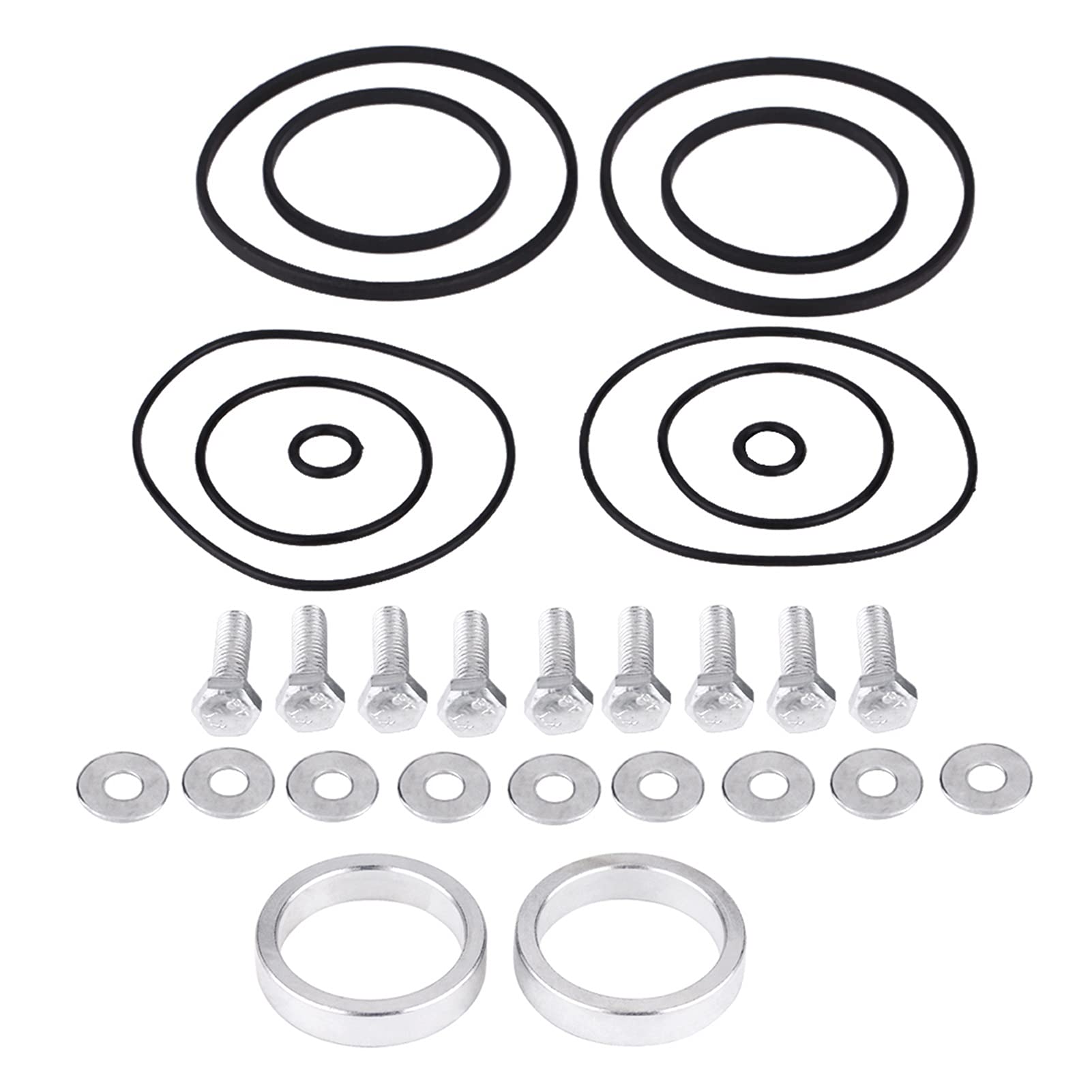 LABOIUF Twin Double Dual Dichtungen Rasselring Reparatur/Upgrade Fit for BMW Fit for Vanos M52TU M54 M56 11361440142 Auspuffdichtung von LABOIUF