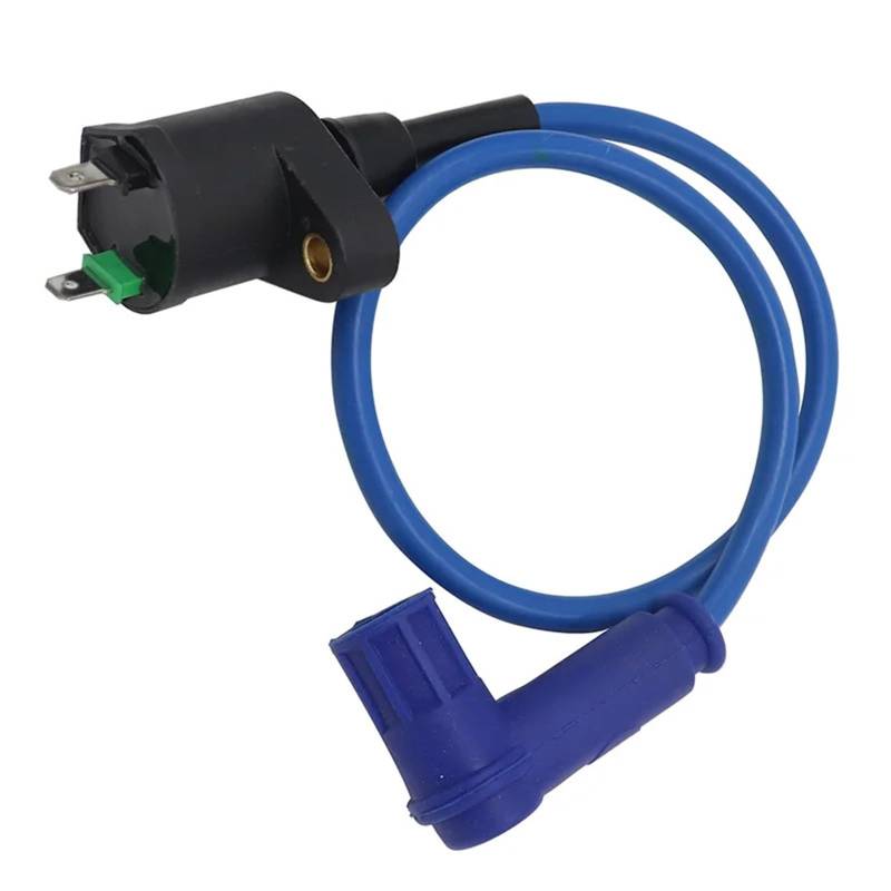 zündspule 50-160cc Racing Zündspule Für Motorrad Roller ATV Quad Buggy Ersatz Ignition Coil(Blue) von LCQSYE