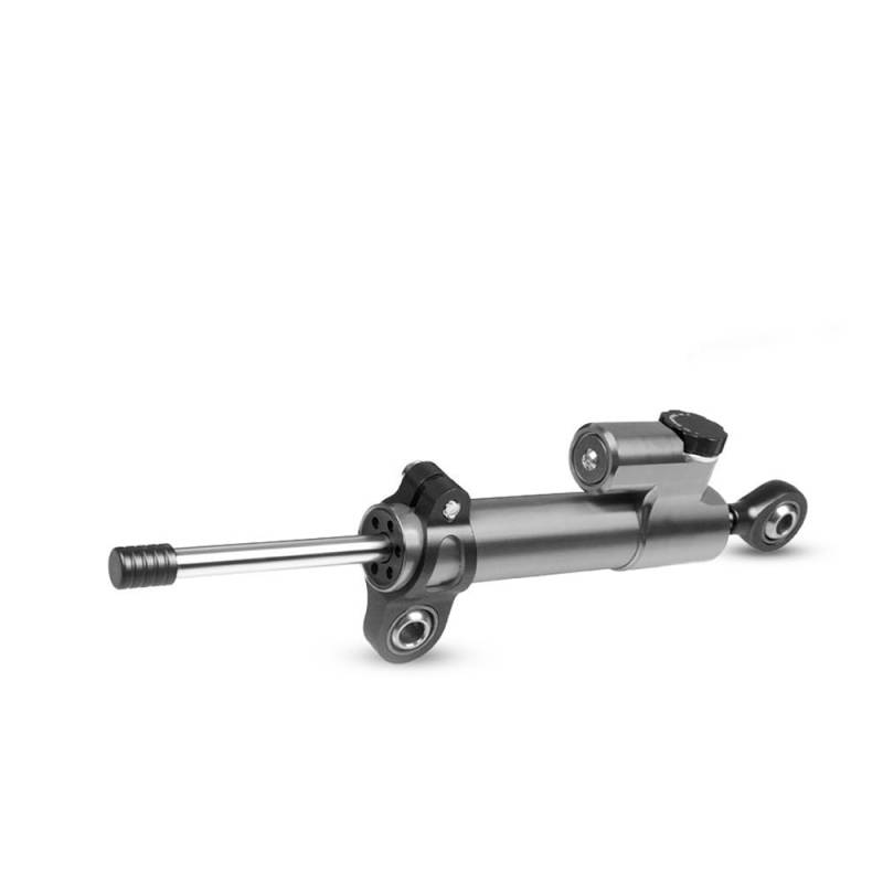 FÜR XRV750 FÜR XRV 750 1990-1994 Einstellbare Motorräder Zubehör Lenkung Stabilisieren Dämpfer Halterung Mount Kit(Color 1) von LDUTIU