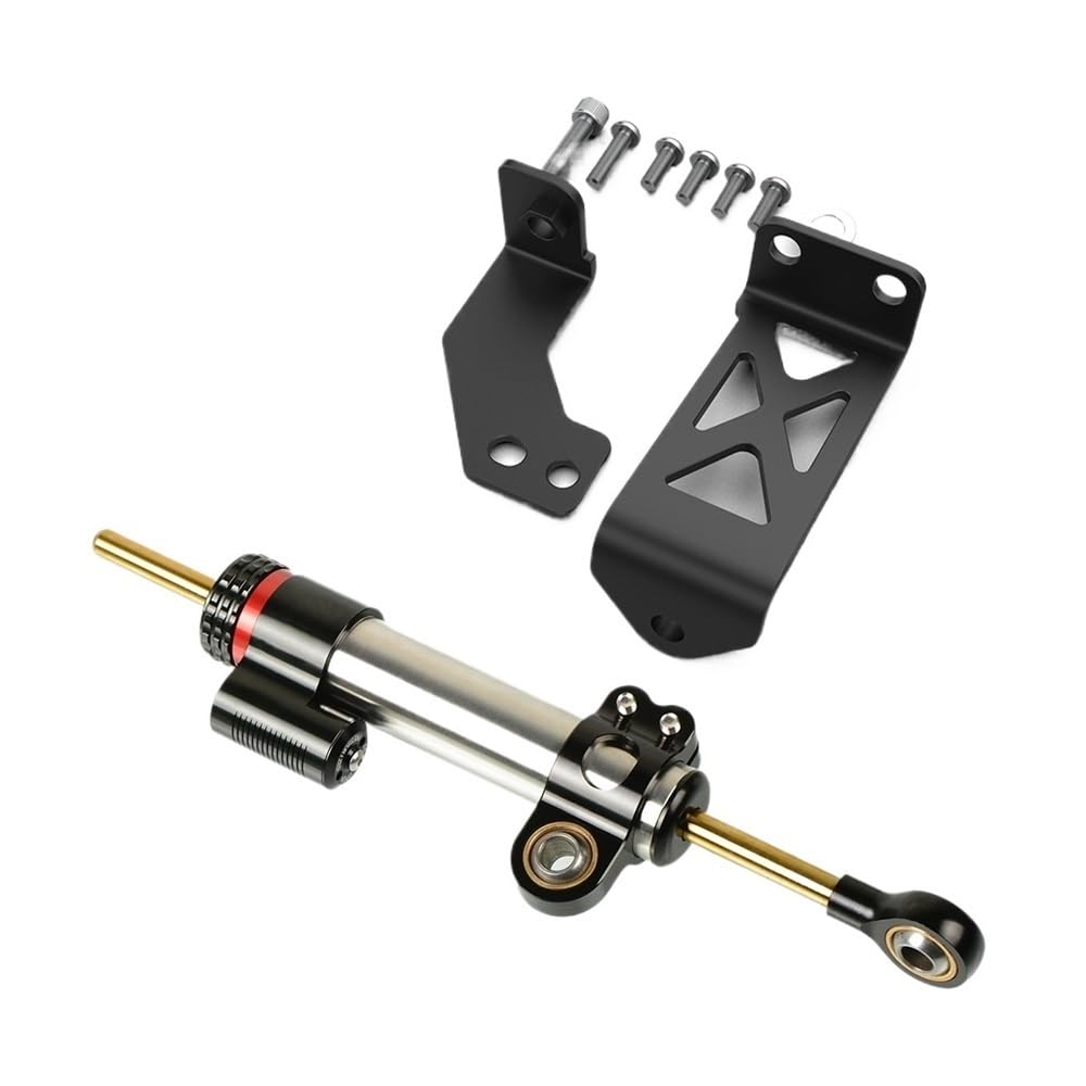 Für Pan America 1250 Für RA1250S Für RA1250 2021-2024 Motorrad Lenkungsdämpfer Stabilisator Linear Umgekehrt Sicherheitssteuerung(Color-F) von LDUTIU