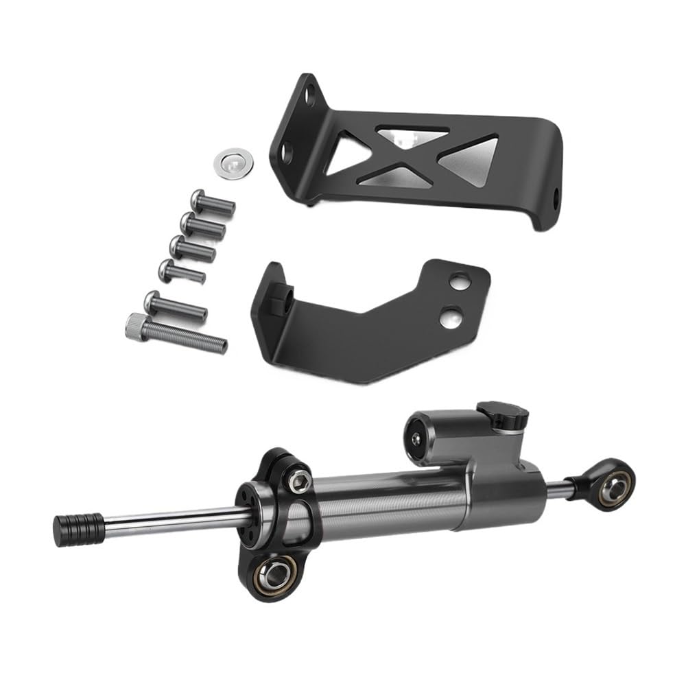 Für Pan America 1250 Für RA1250S Für RA1250 Motorrad Dämpfer Lenkung Stabilisieren Sicherheit Control Halterung Mount Kit(Color-0001) von LDUTIU