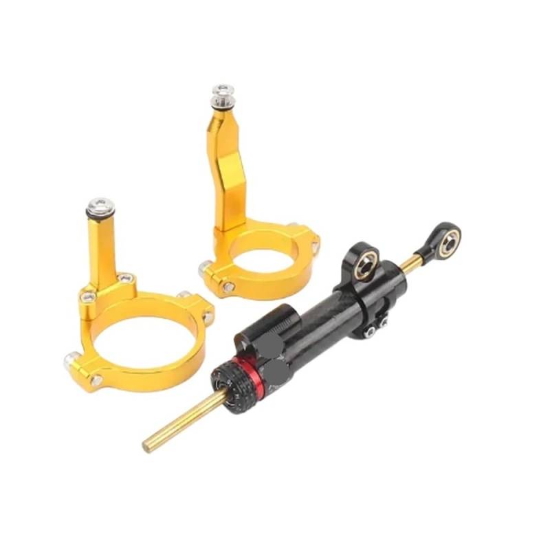 Motorrad Stabilisator Montage Halterung Lenkung Dämpfer Für K&awasaki Für ZX-4RR Für ZX4RR Für ZX 4RR 4R Für ZX-4R Für ZX4R 2023-(Set - 2) von LDUTIU