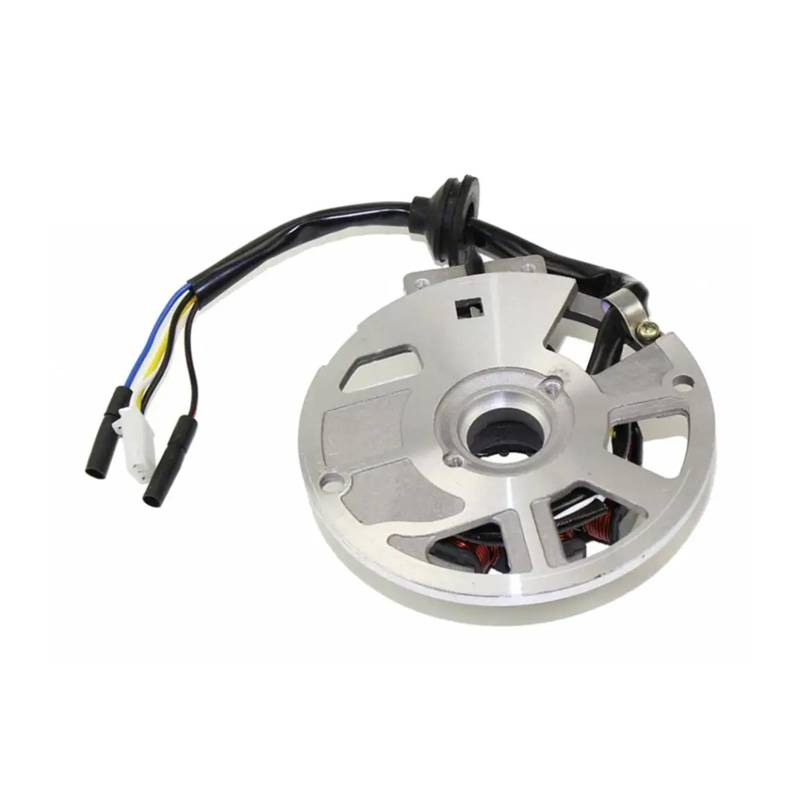 Zündspule Für Jog Für Minarelli Für 50cc Für 90cc Für Roller Für Eton Für Arctic Für Cat ATV 50 70 90cc Motor 5 Drähte 7 Spulen Zündung Stator Zündungen von LENTLY