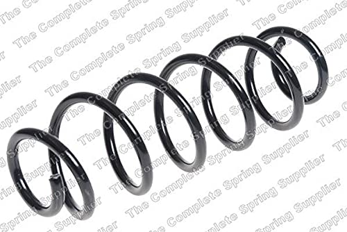 65091 Kilen Coil Spring (hinten) OE Qualität von LESJÃ?FORS