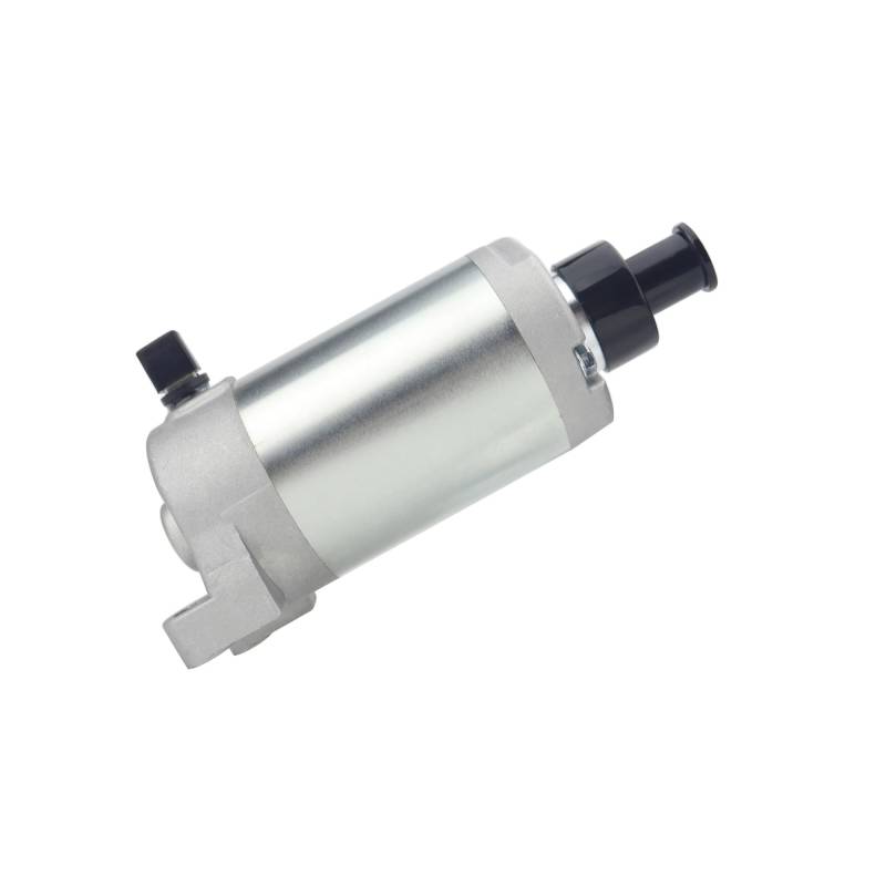 Anlasser Motor Für Dirt Für Bike XT250 2008-2019 Für Raptor 250 Für YFM25R 2008-2013 249cc Starter Motor 3C5-81890-00-00 410-54158 Motor Elektrisch Starter von LIANGBAOS