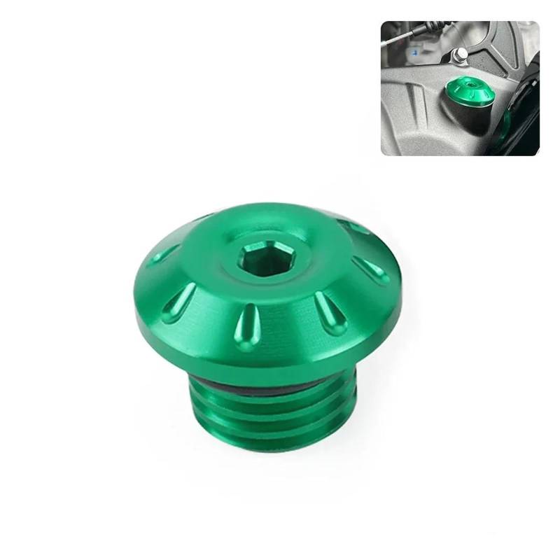 Motoröl-Einfüllschraube Für HO&NDA CL500 CMX300 CMX500 CMX1100 Rebel 300 500 1100 Hornet 250 600 599 900 919(Green) von LIJUNSHANI