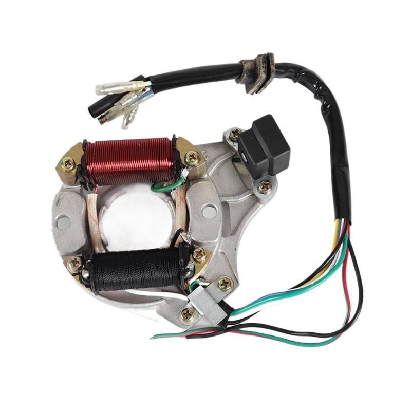 Motorrad-Zündspule Für LF100 Für DY100 Für H100 Für LX100 Für Kazuma Für Quad ATV Motorrad Motor Zündung Startspule Magneto Acht Bühne Stator Zündspulen Modul von LKRGBXA