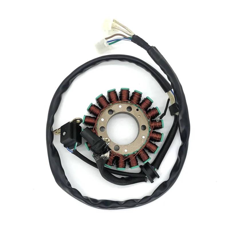 Motorrad-Zündspule Für XV125 Für XV250 Für Virago 125 250 Für Renaissa 250 Motorrad Roller Motoren 18 Spulen 6 Drähte Zündung Stator Magneto Zündspulen Modul von LKRGBXA