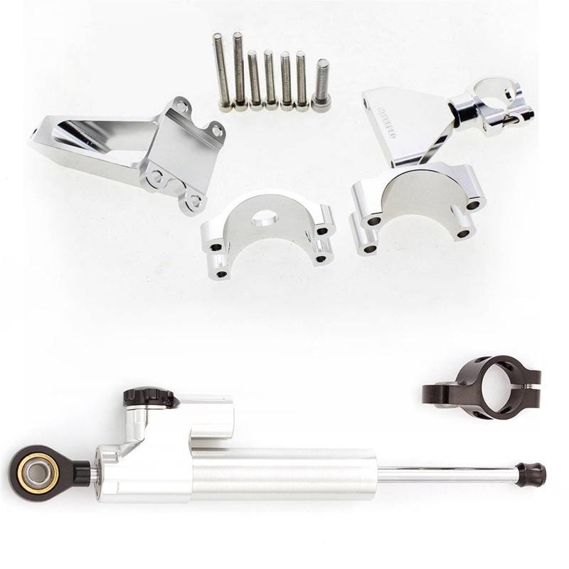 Motorradhalterung Einstellbarer Motorrad Stabilisator Dämpfer Lenkung Halterung Halter Unterstützung Kit Set Für CBR600F F4 F4i 1999-2003 2000 2001 2002 Stoßdämpfer CNC-Montagesatz(Silver) von LNMLRBXEXZ