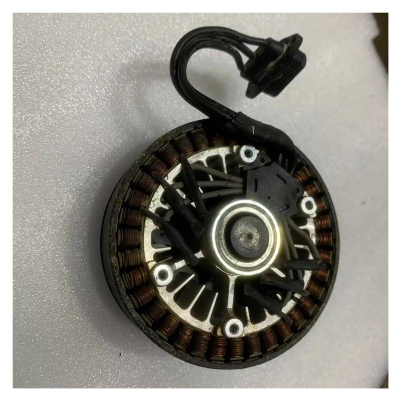 Motor Pestizid sp-rayer for dj T40 T20P T30 T10 T16 T20 MG1P Drone Reparatur Reparatur Teile(T30 Motor) von LOFLRCFE