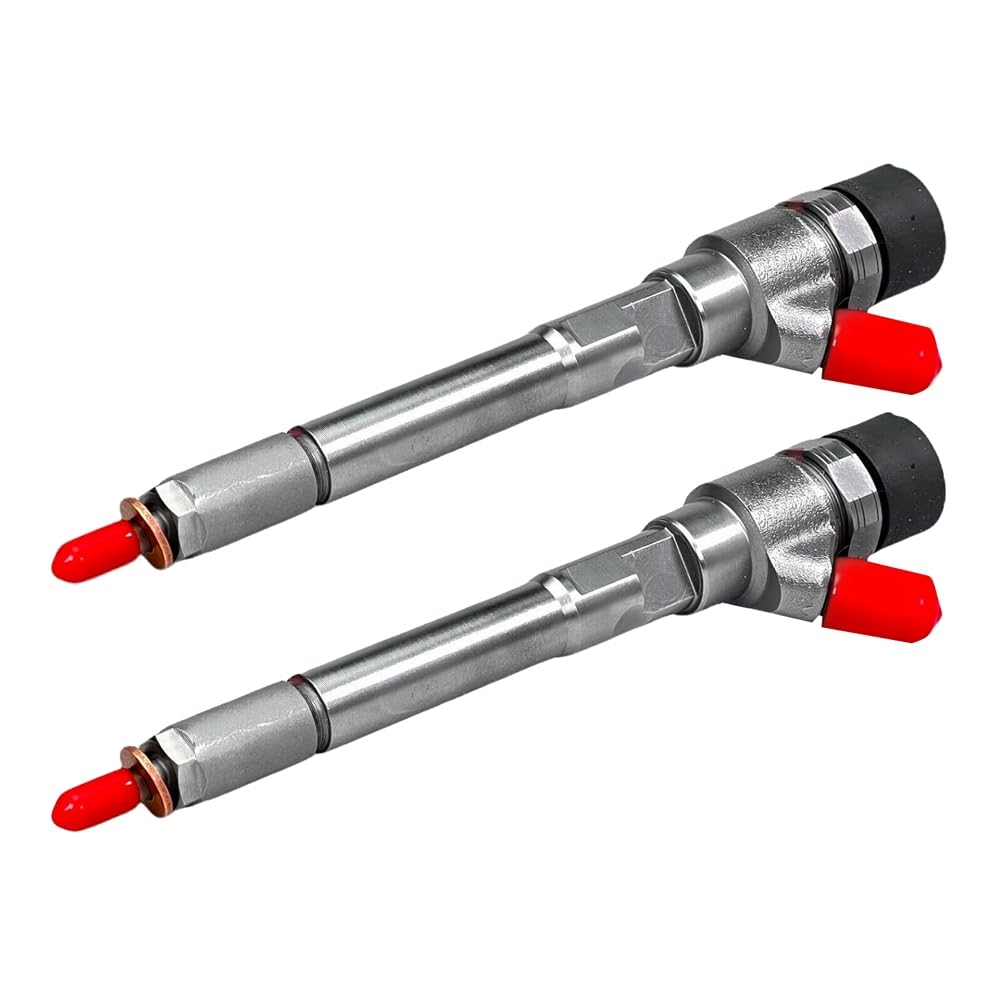 LOLPALONE 2X Neue CRdi Fuel Injector 33800-27400 0445110245 für CARENS 2004-2009 von LOLPALONE