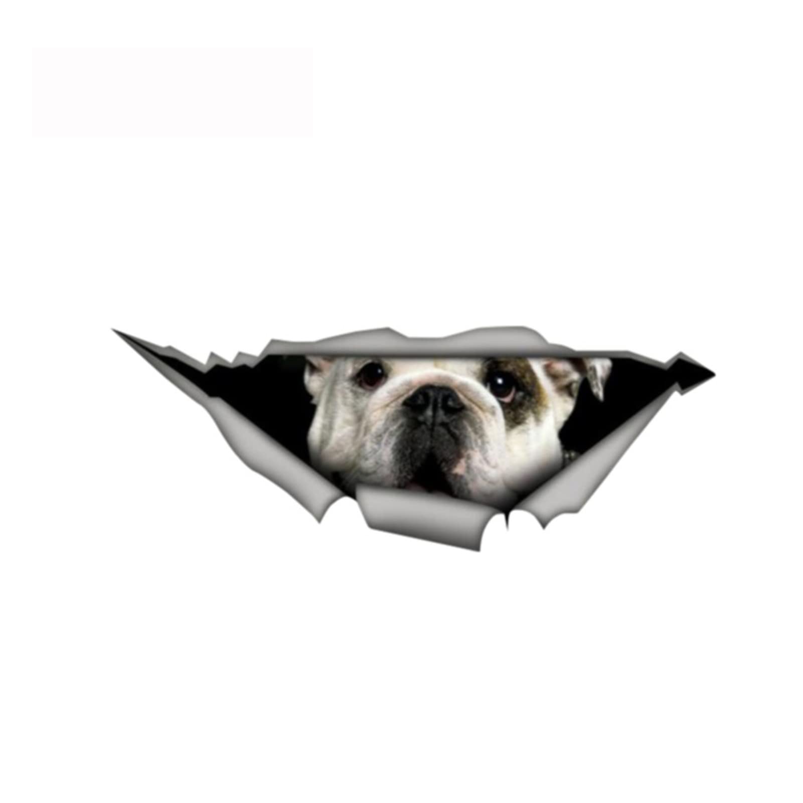 ZHANGXIN 13 cm x 4,8 cm Bulldogge Auto Vinyl 3D Auto Styling Aufkleber zerrissen Metall Aufkleber Wildtier Lustige Autoaufkleber Fenster Stoßstange von LQHWDNJB