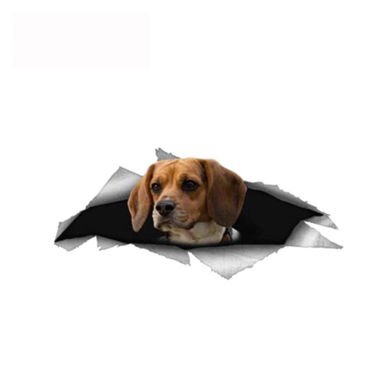 ZHANGXIN 13 cm x 5,8 cm Beagle-Hund Haustier Aufkleber zerrissen Metall Stoßstange Aufkleber Lustige Autoaufkleber Fenster Kofferraum Tier 3D Auto Styling von LQHWDNJB