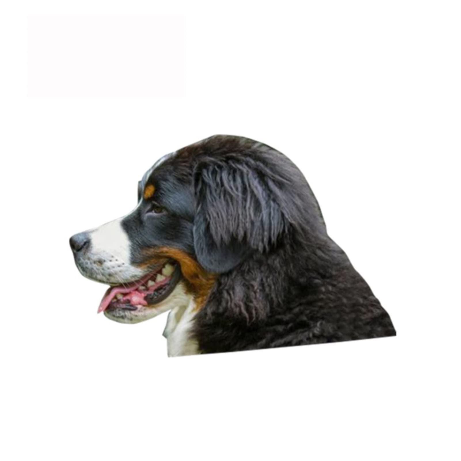 ZHANGXIN 13 cm x 8,8 cm Berner Sennenhund Aufkleber zerrissener Metall Stoßstangen-Aufkleber Lustiger Autoaufkleber Fenster Tier 3D-Auto-Styling von LQHWDNJB