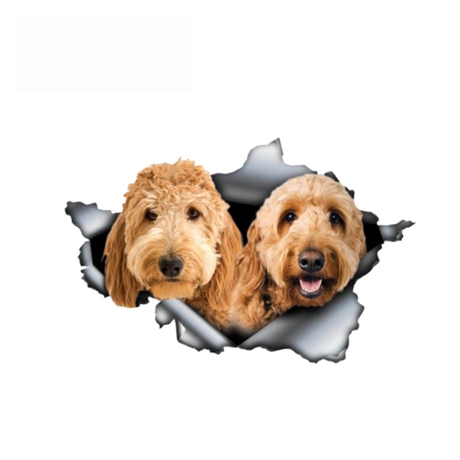 ZHANGXIN 13 cm x 8,8 cm Goldendoodle-Aufkleber, Auto-Dekoration, 3D-Haustier-Grafik, Vinyl-Aufkleber, Fenster, Laptop, Stoßstange, Tier-Autoaufkleber von LQHWDNJB