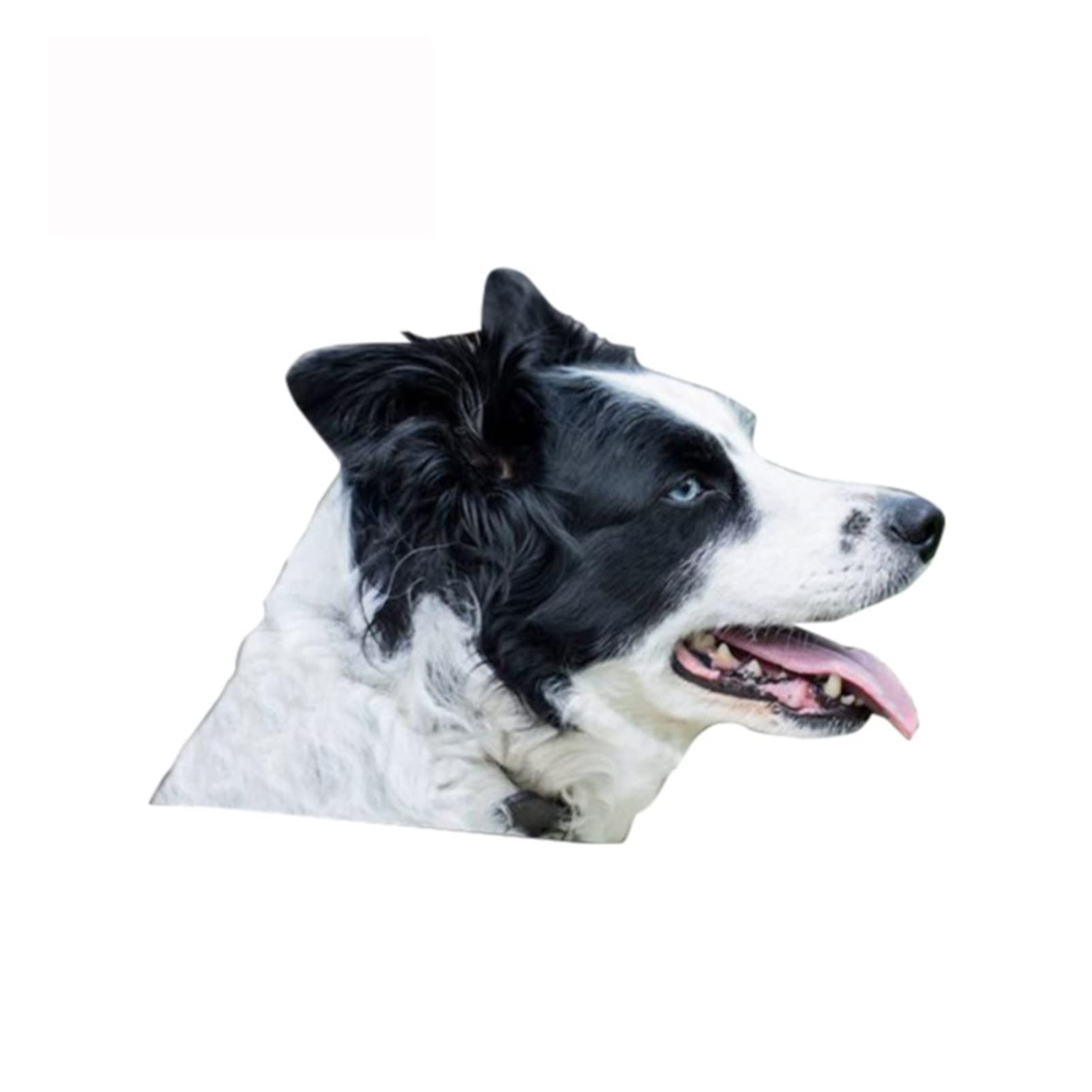 ZHANGXIN 13 cm x 9,3 cm Border Collie Aufkleber zerrissenes Metall Stoßstange Aufkleber Lustige Autoaufkleber Fenster Kofferraum Tier 3D Auto Styling von LQHWDNJB