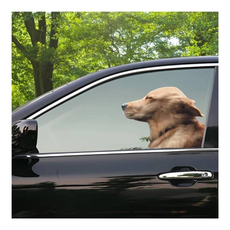 ZHANGXIN Auto-Seitenfensteraufkleber für die rechte Seite, Golden Retriever, lustiger Auto-Windschutzscheiben-Aufkleber, Tier (1 Stück links) von LQHWDNJB