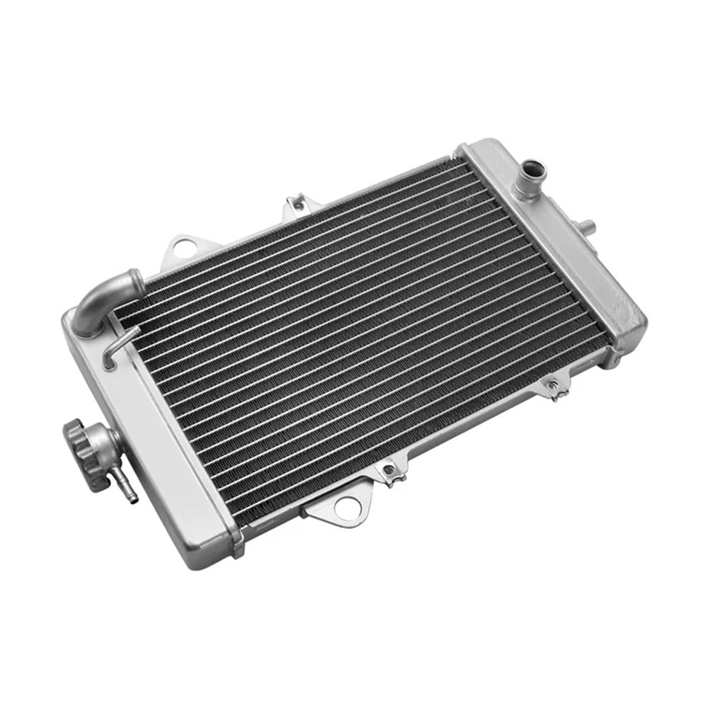 Wassertanknetz Schutzgitter Motorrad Kühler Kühler Motor Kühlung Für Ya&maha ATV Raptor 700 700R YFM700 YFM 700 2013 2014 2015 2016 2017 2018 2019 2020 von LQXGEWPMF