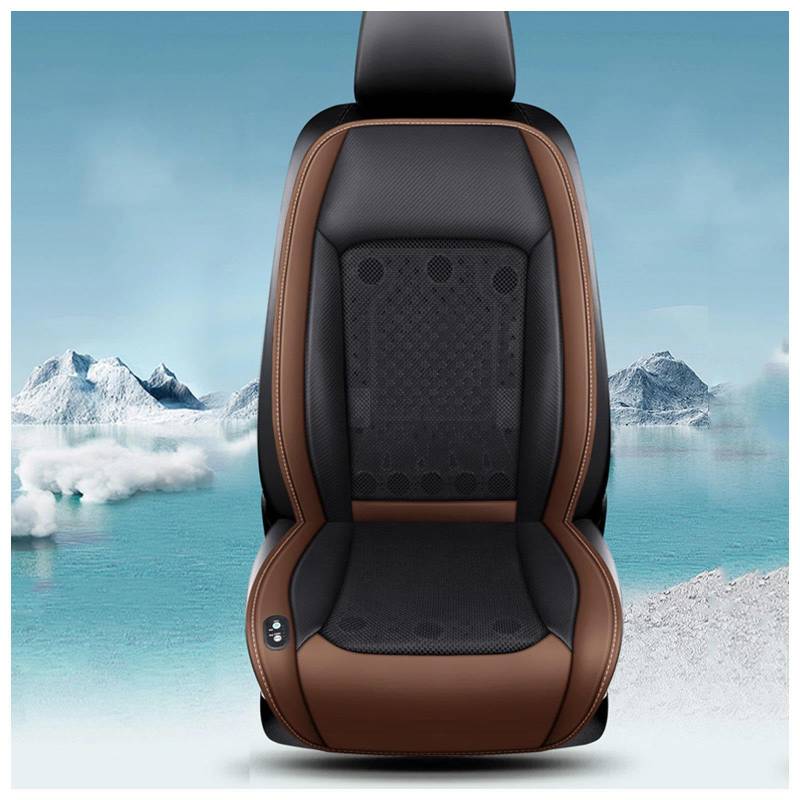 LRF-yxkj Cooling Car Seat, mit 24 Fans, 12v/24v, 3 Kühlstufen Cooling Car Seat Cover Sitzbelüftung für Auto LKW SUV RV,Brown-12V von LRF-yxkj